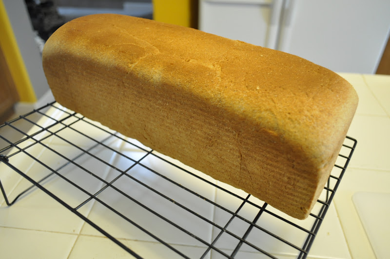 The Food Groupie Club 100 Honey Whole Wheat Pullman bread