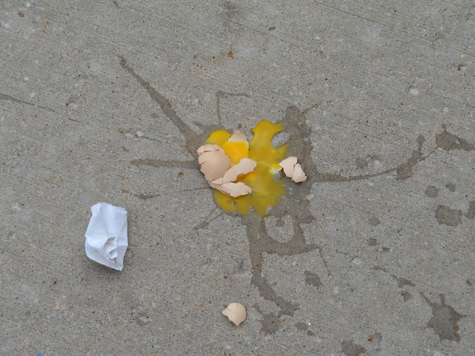 Adventures in Third Grade Egg Drop