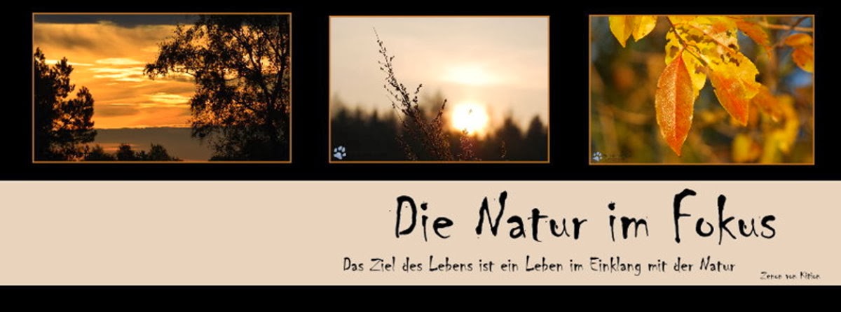 Natur im Fokus 