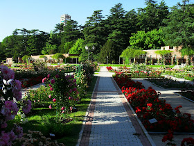 ARTE Y JARDINERÍA : EL JARDÍN DE ROSAS