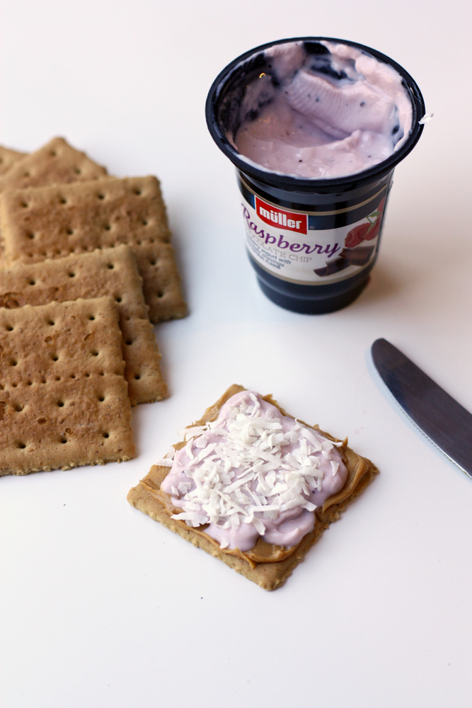 Everyday Reading 3 Yogurt Snacks for Kids and Adults