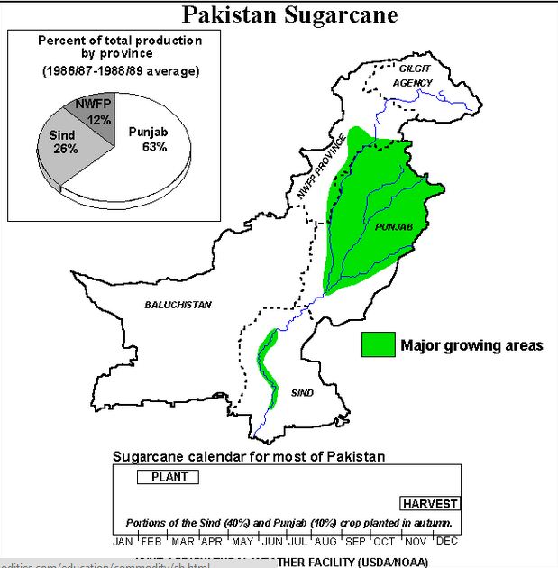 Power Plant Steam Turbine power plants