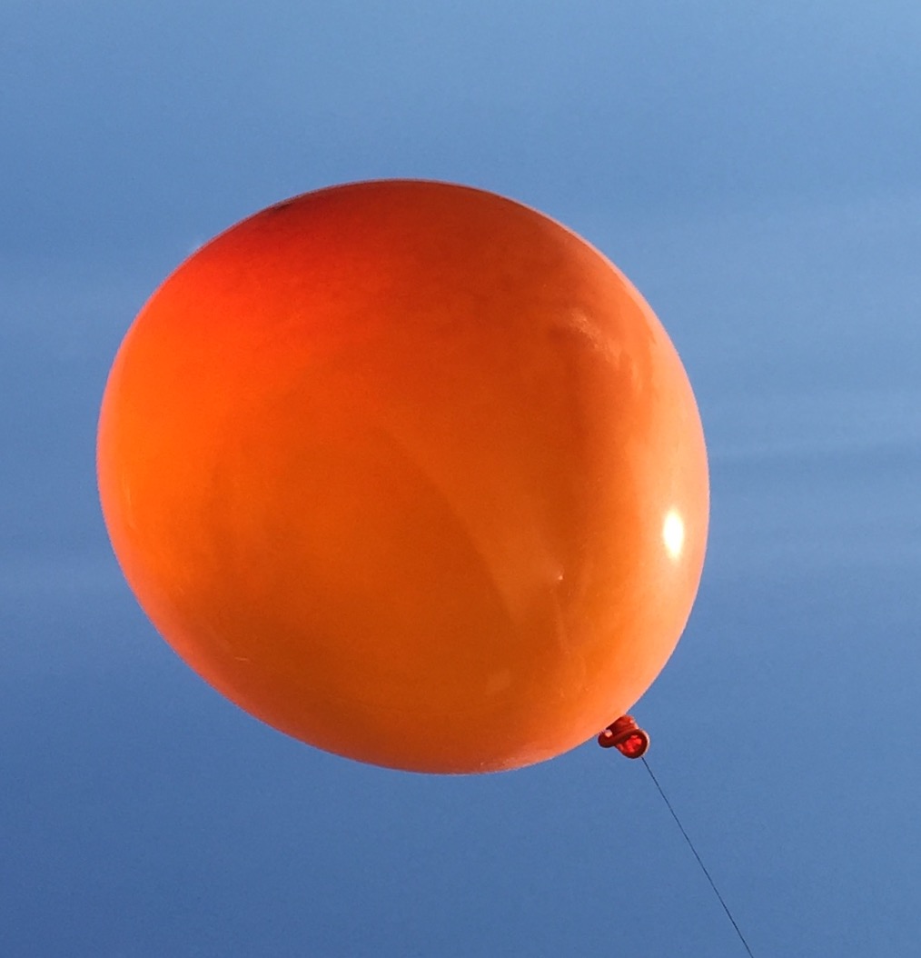 The History Girls The Orange Balloon of Success