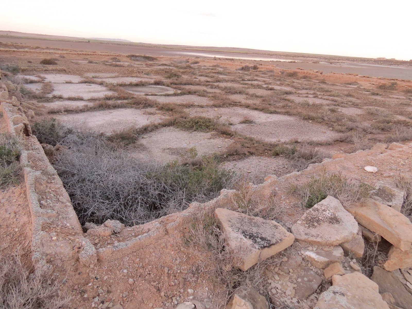 MEDIO NATURAL UN ESPACIO COMPARTIDO Las saladas de Sástago y Bujaraloz
