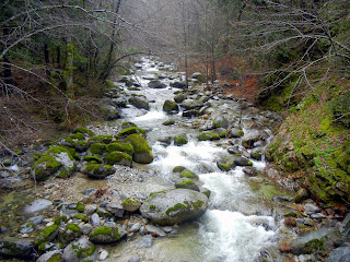Brandy Creek