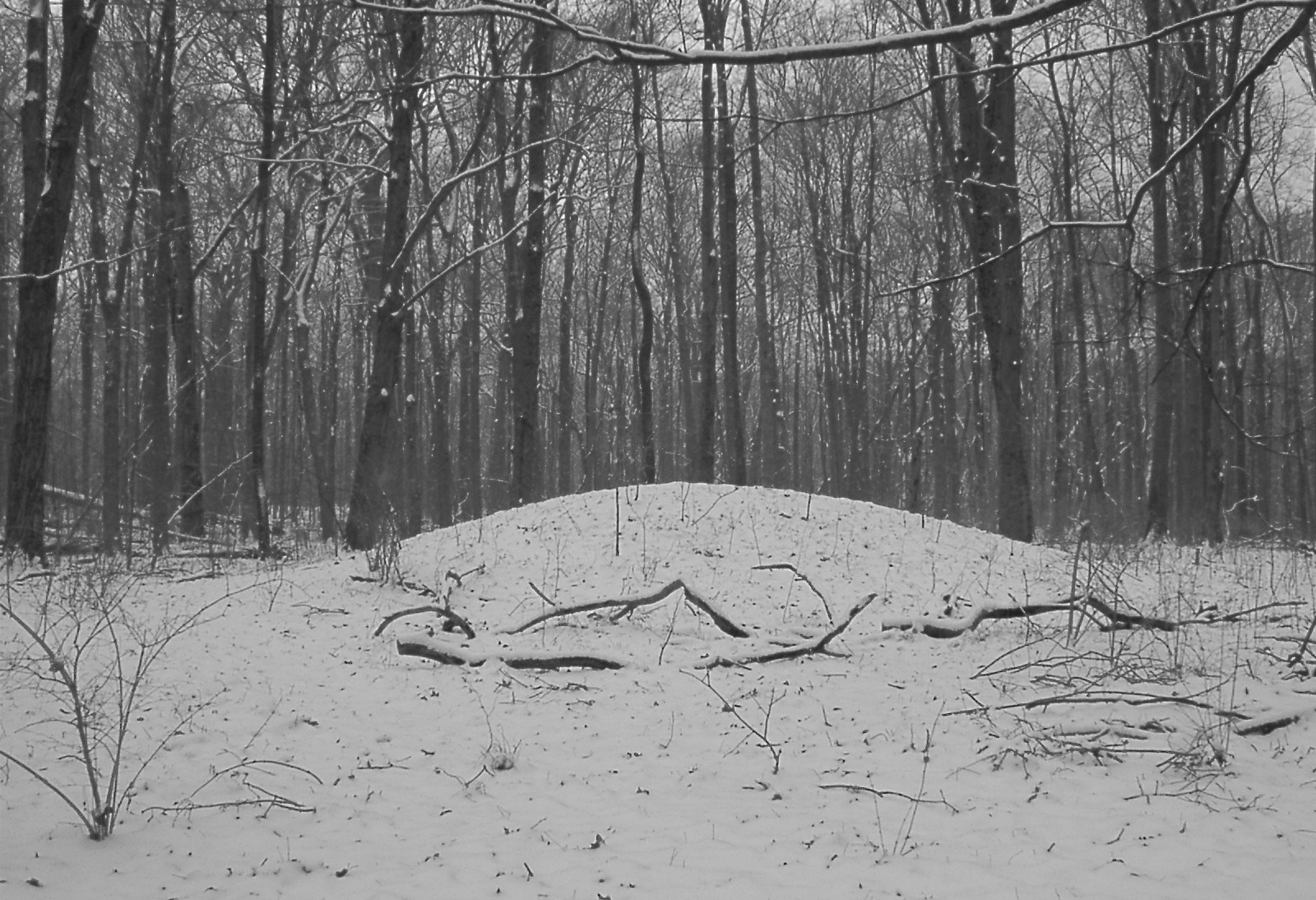 Mound Builders A Travel Guide to the Ancient Ruins in the Ohio Valley Necropolis at Haunted