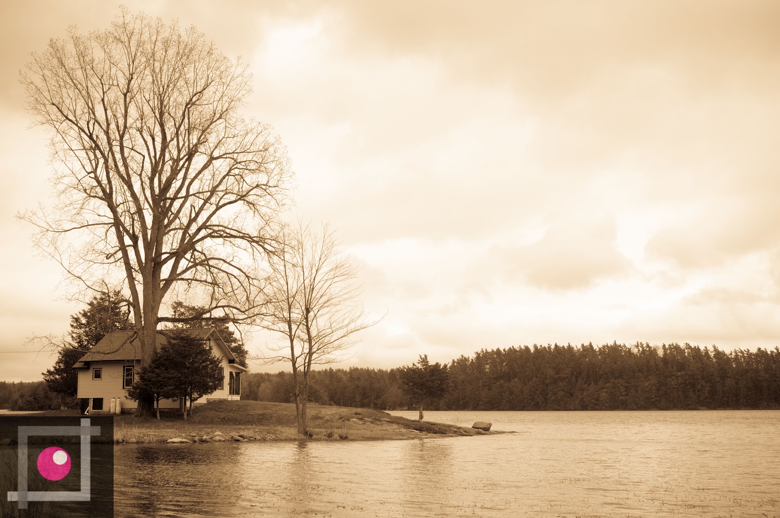 Photography April 2012