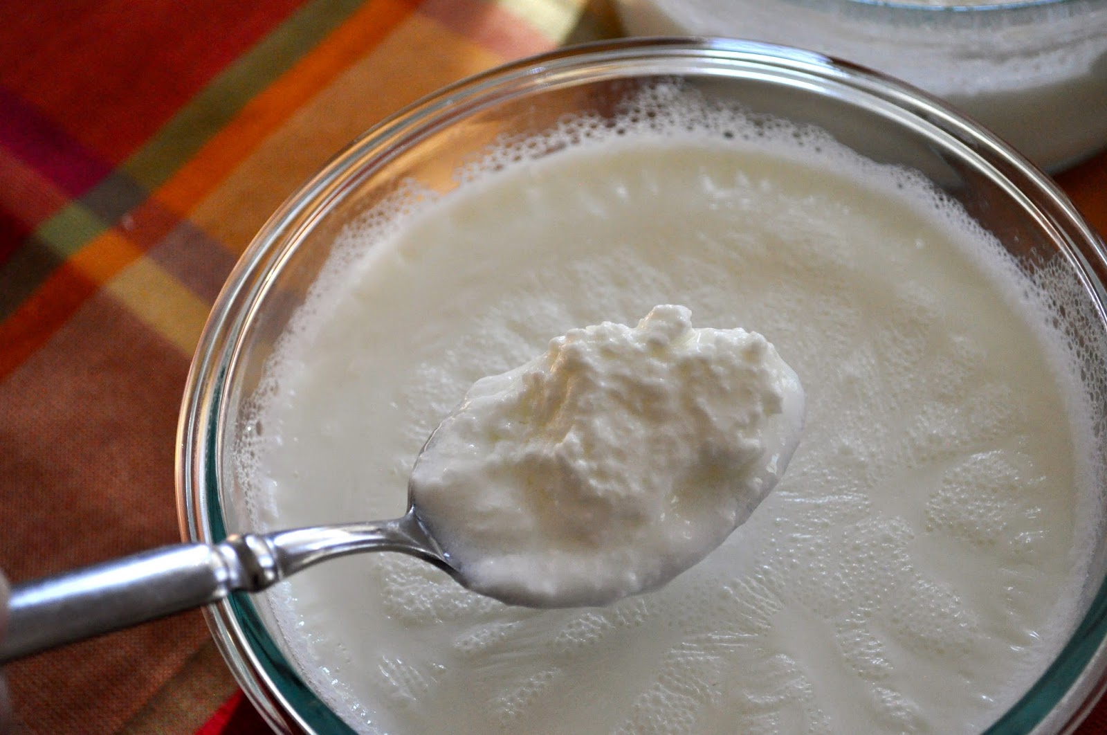 Cooking with Meena Homemade yogurt Indian style