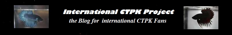 international CTPK Project