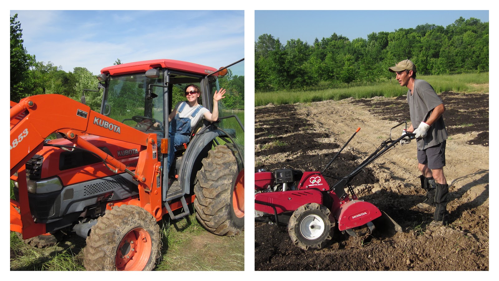 Leafy Greens Farm About