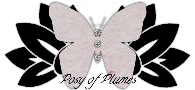 Posy of Plumes Blog