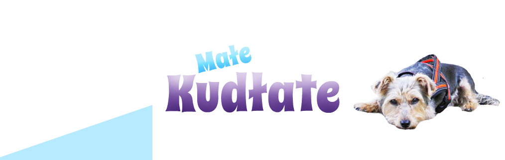 Małe kudłate