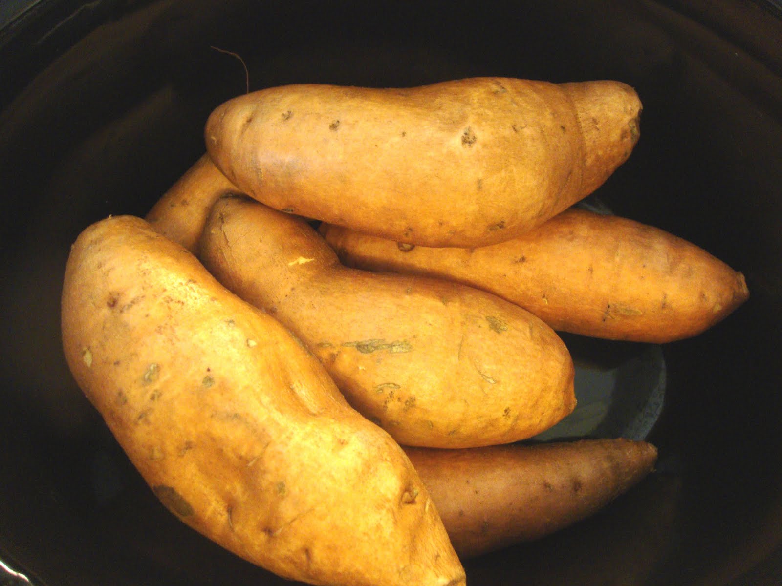 A Busy Mom's Slow Cooker Adventures Using Your Slow Cooker to Make