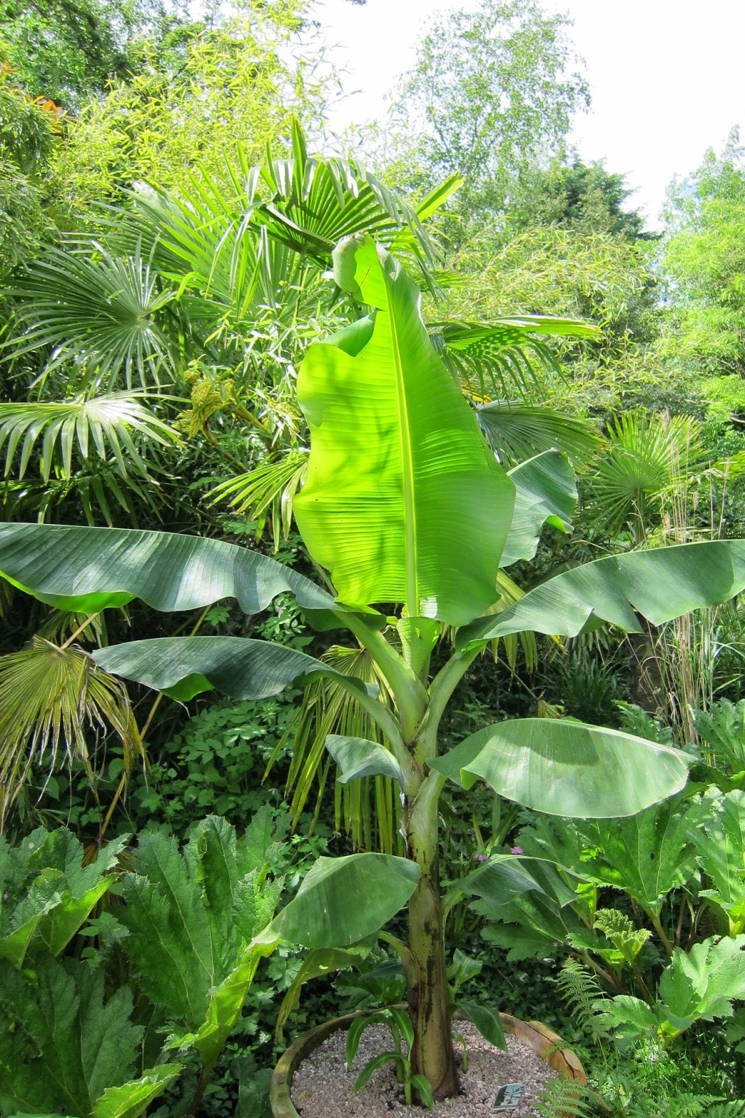 Faaxaal Photos Nature Gratuites Et Libres De Droits Photos D