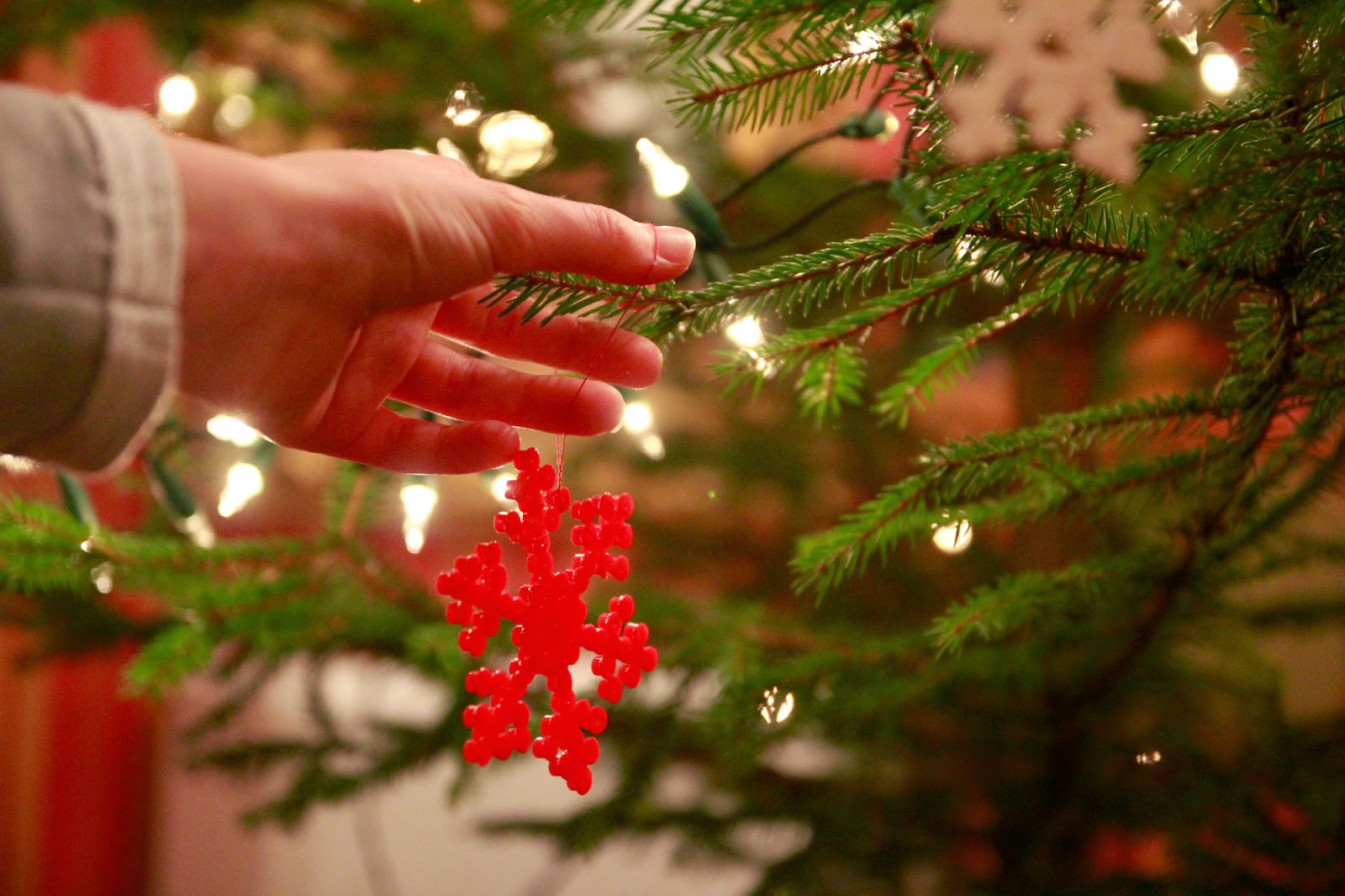 Gwiazdka w Puszczy - Ania w Podróży