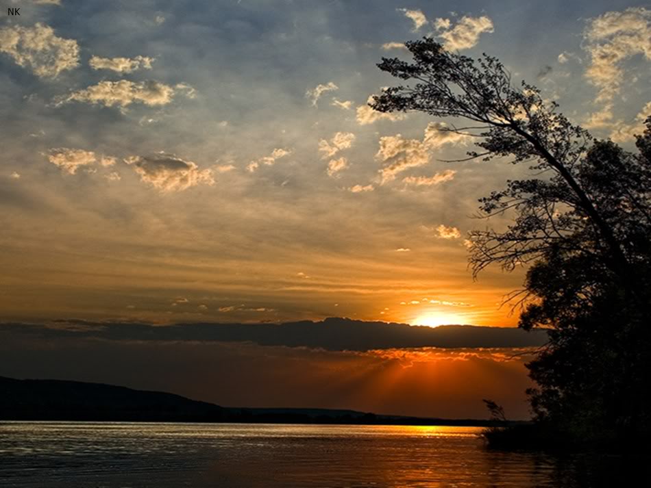 Info Wallpapers: cool hd wallpapers