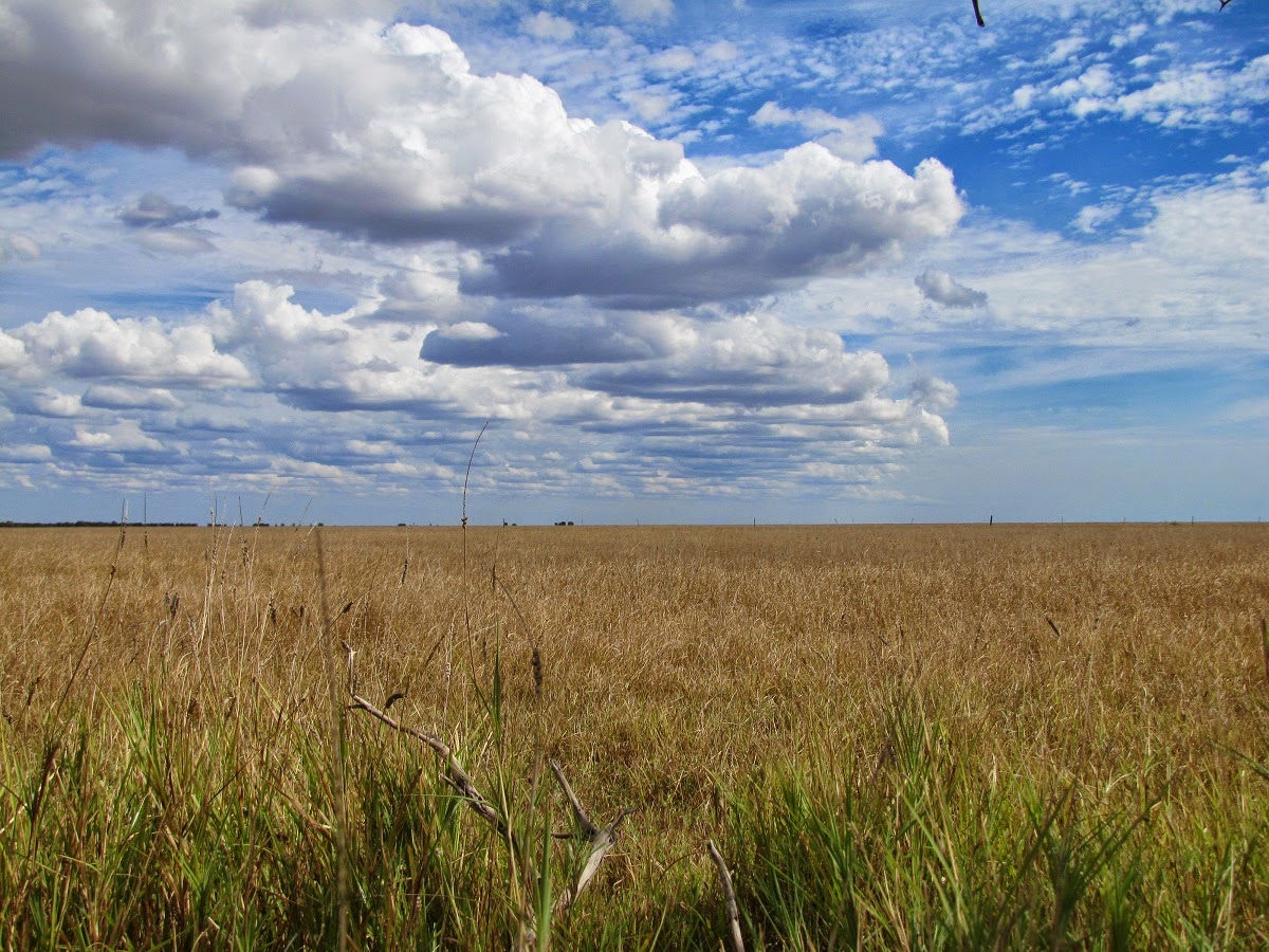 Elva plain stone circle – the modern antiquarian.com A Plain Perspective