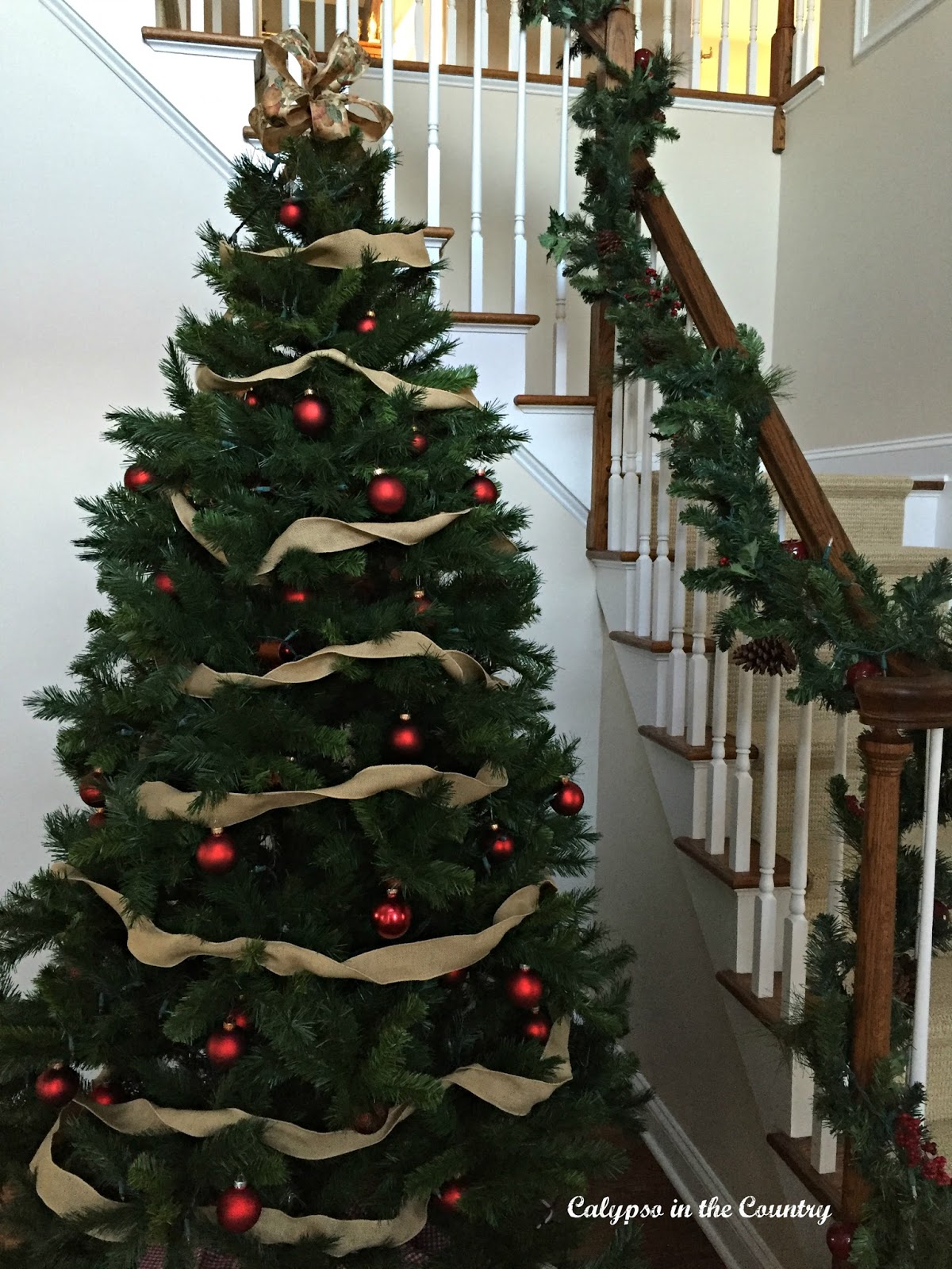 Christmas Foyer Day and Evening Calypso in the Country