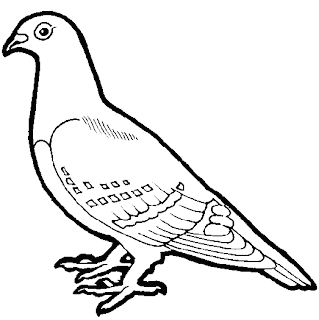 Pigeon Clip Art :: Line Drawing :: Outline