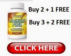 Best Forskolin Deals