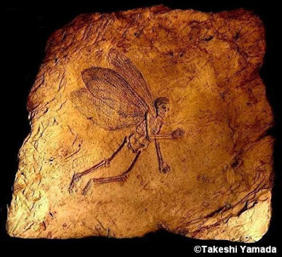 Fossilized Fairy by Takeshi Yamada