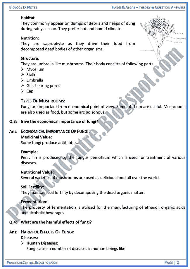 Biology form 4 essay questions and sample answers