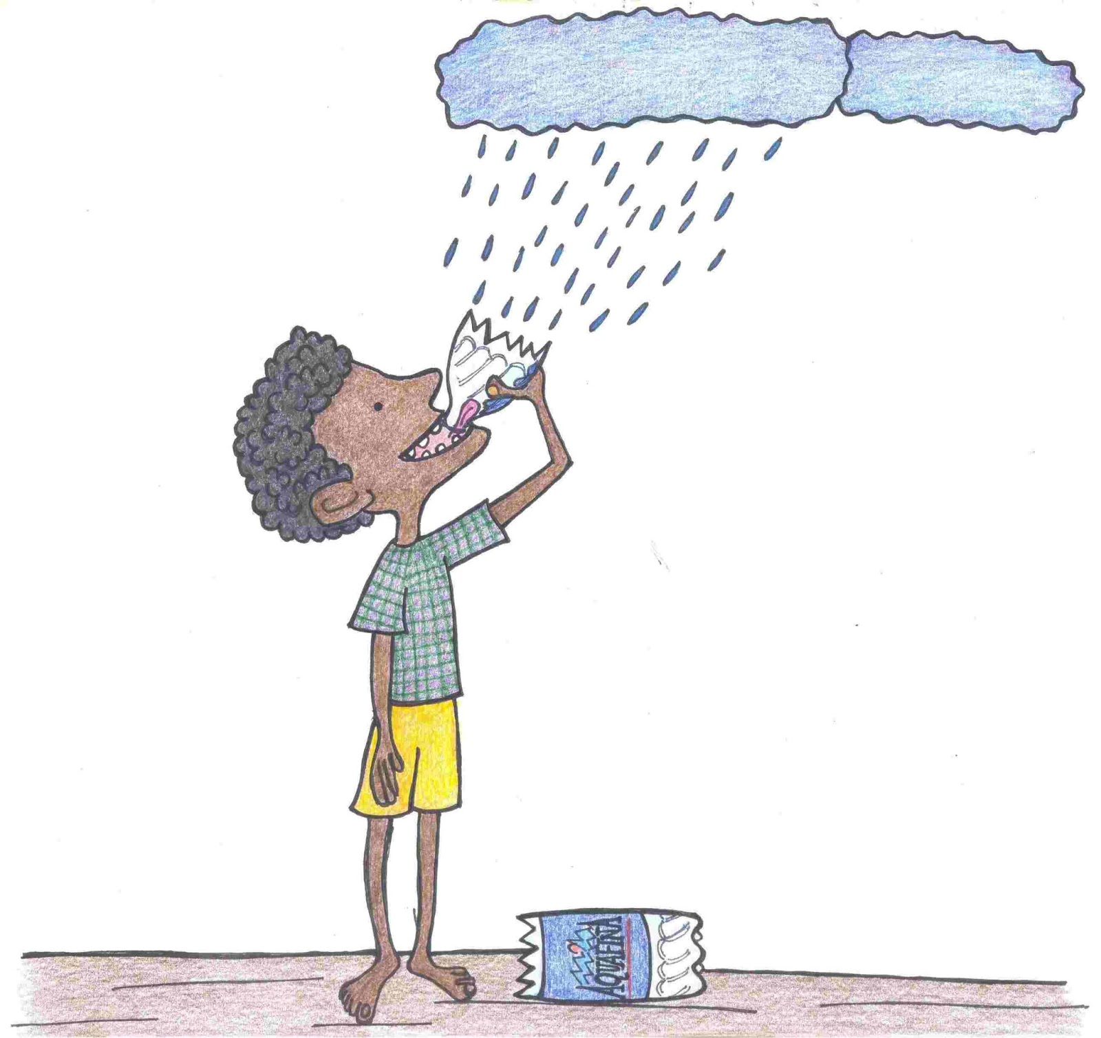 Drink Rainwater Biome Environmental Trust