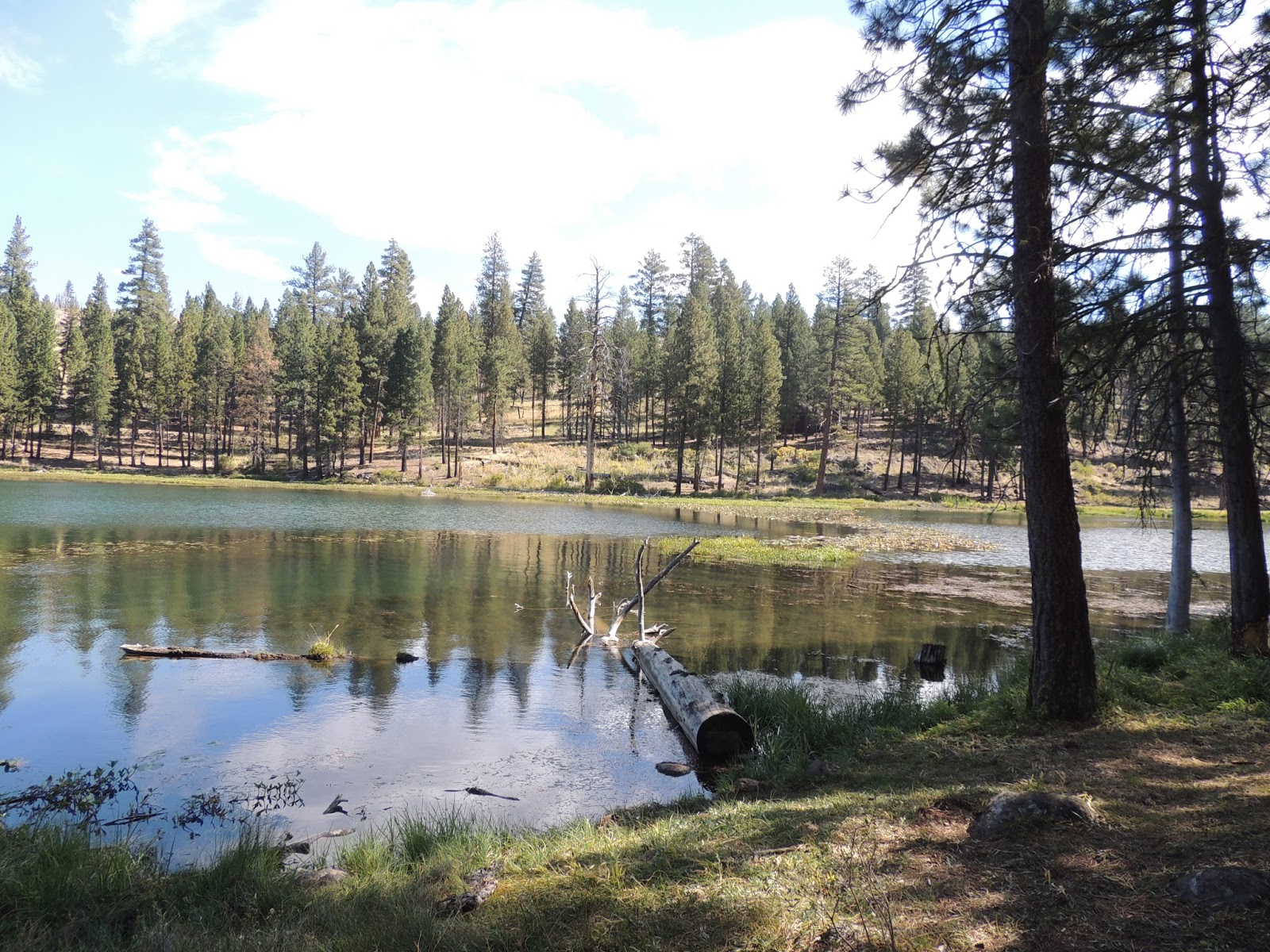 THE ROAD TAKEN Unlikely Likely, CA, and Blue Lake Camprgound