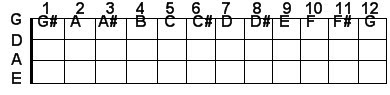 G string bass guitar notes G string bass guitar notes