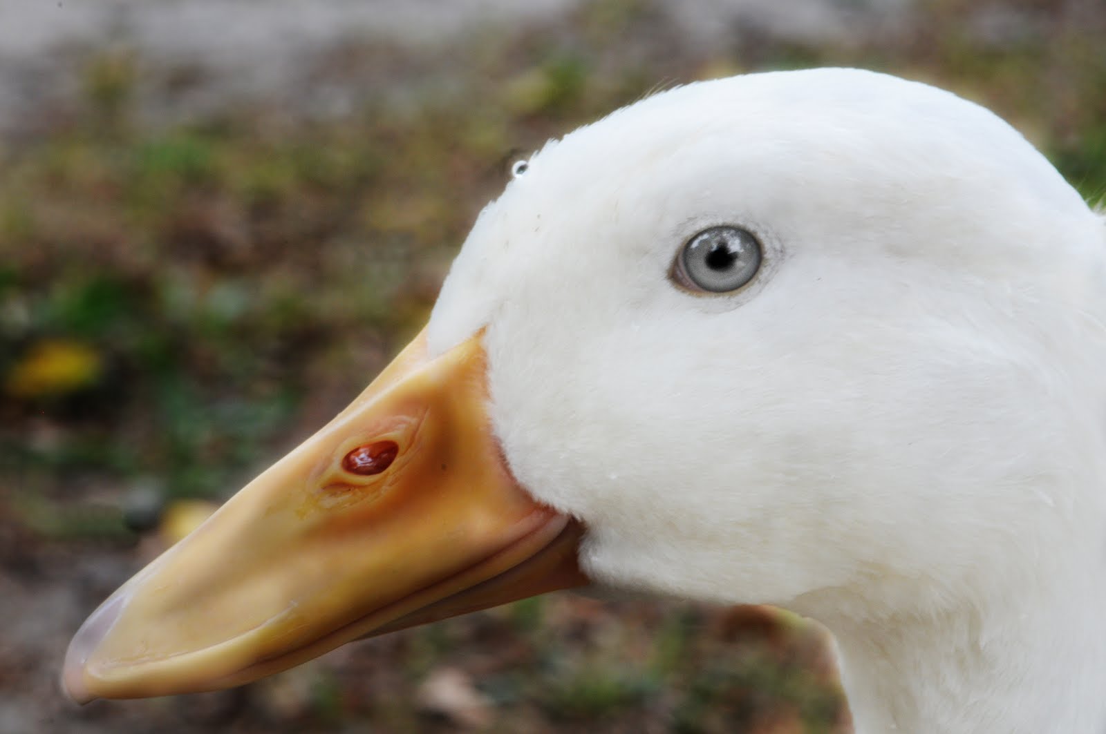 John Couch Photography May 2011