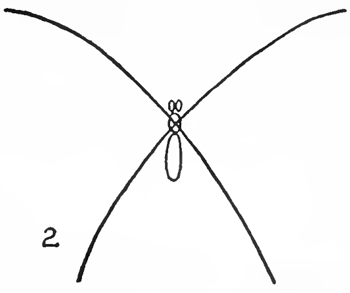 Come Disegnare Una Farfalla A Matita