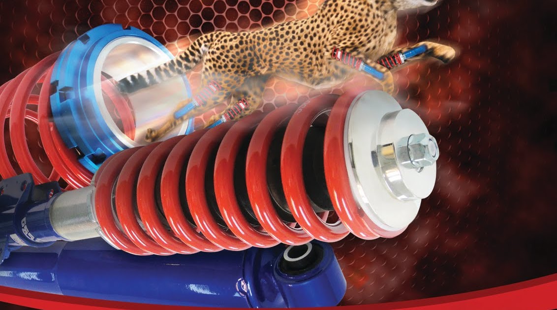 Proride Motorsports KYB RS PRO Hi Lo Adjustable Suspension