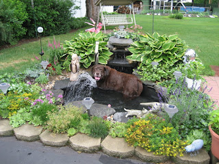 Koi Pond | Garden Landscape Design