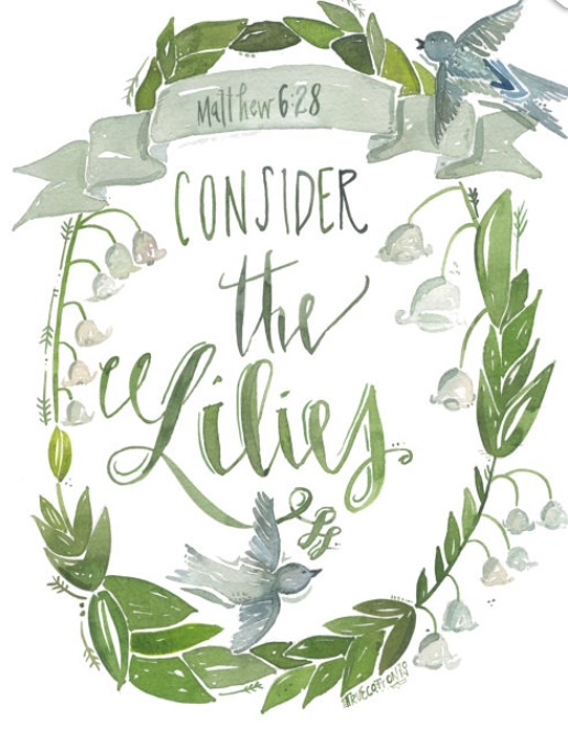 Consider the Lilies - Our Journey to Lily XinLi