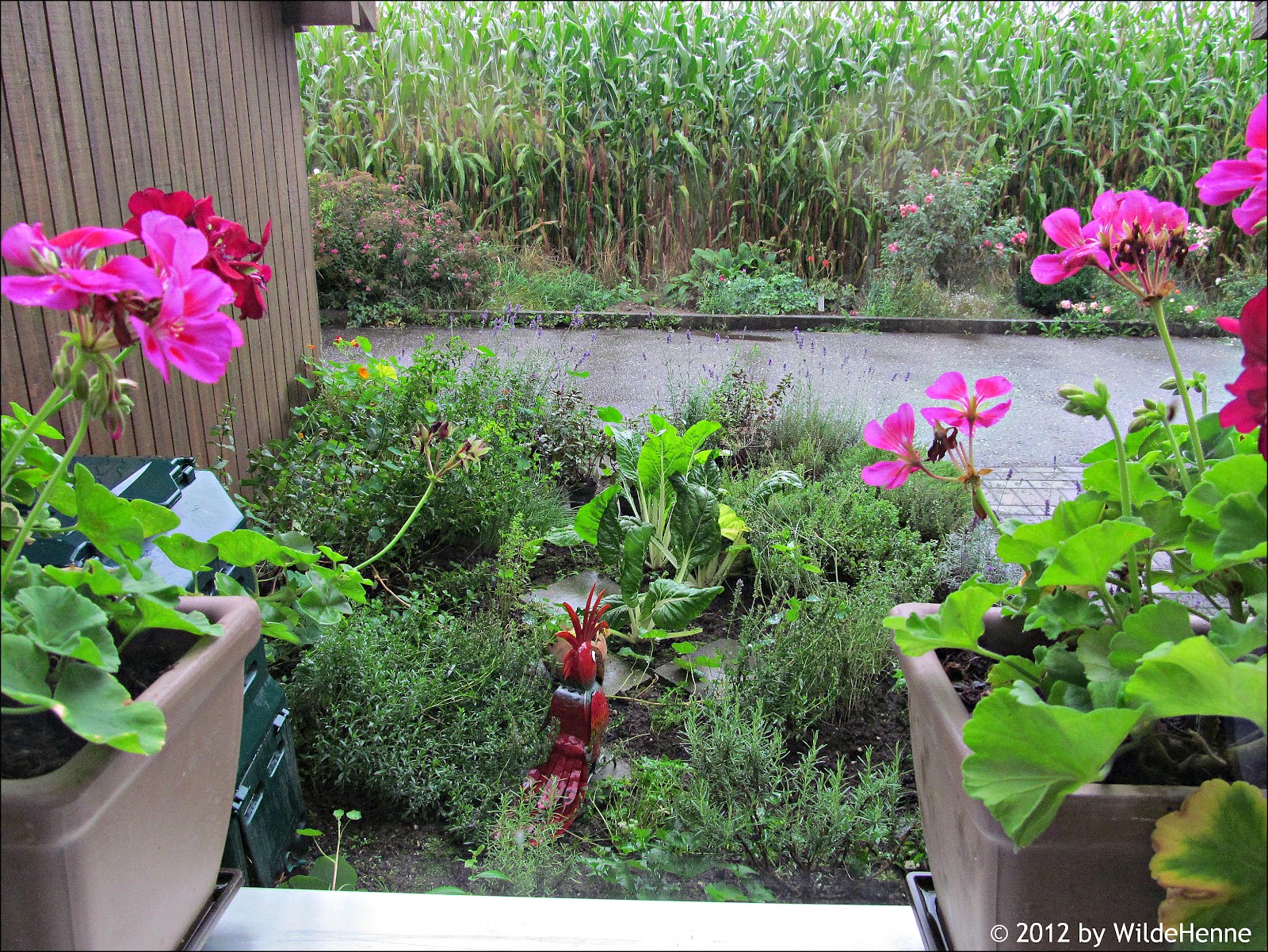 Wildes Poulet: August 2012