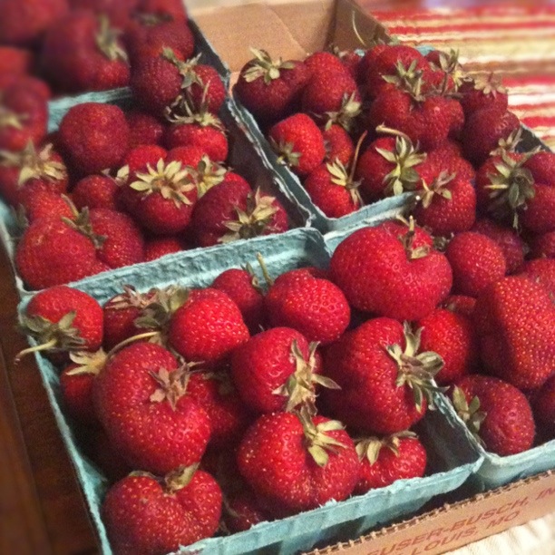 HopfenTreader Strawberry Cream Ale