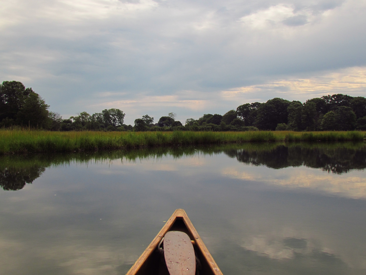 The View From the Canoe Oyster River