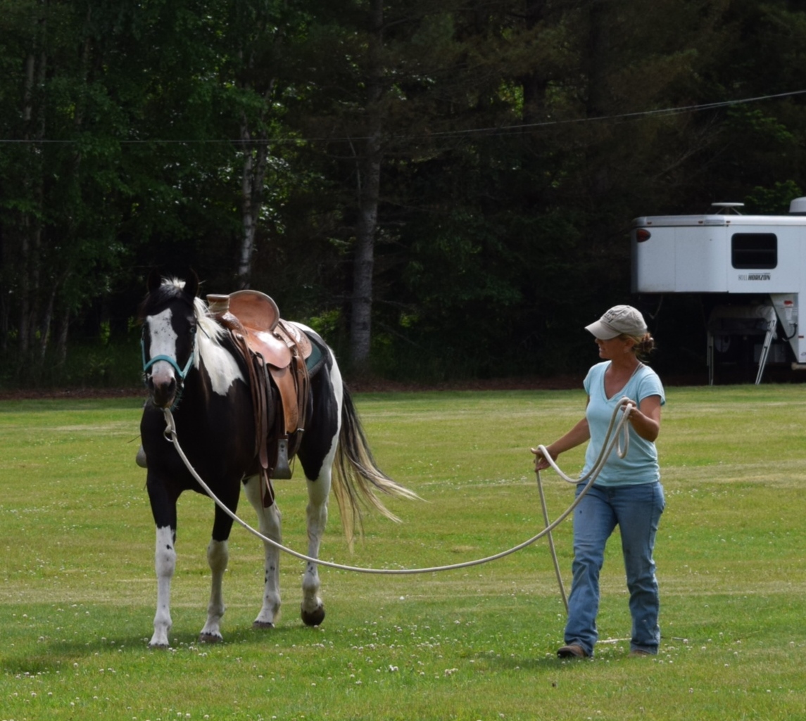 Groundwork and Horsemanship with Samantha Harvey