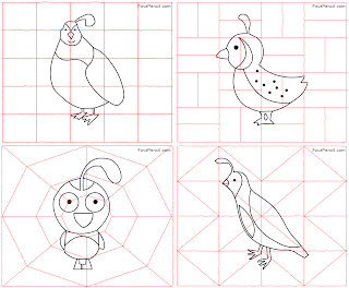 Featured image of post How To Draw A Quail For Kids For the first five years of a child s life your teaching will be limited to providing space time tools and encouragement 1 x trustworthy source zero to three nonprofit organization