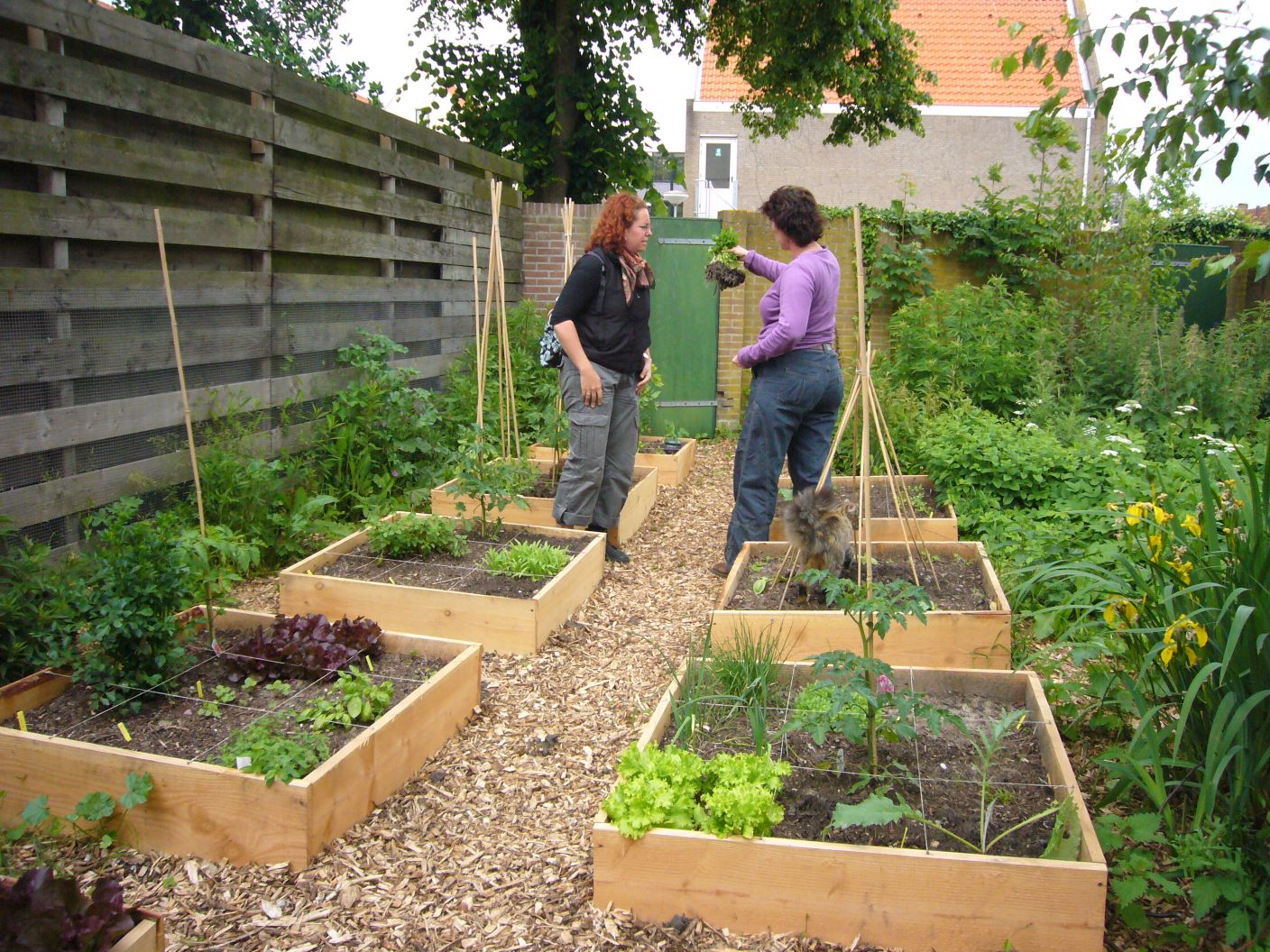 Tuindesign: verhoogde bedden in (moes)tuin