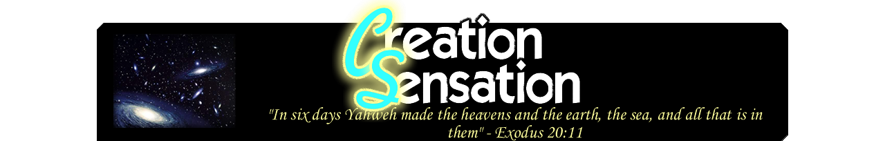Creation Sensation