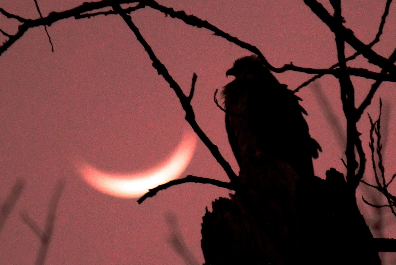 Moon Phases January 2013 Texas
