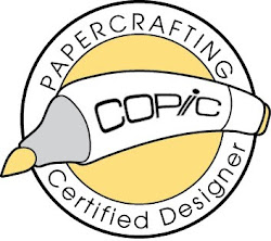 Copic Certification