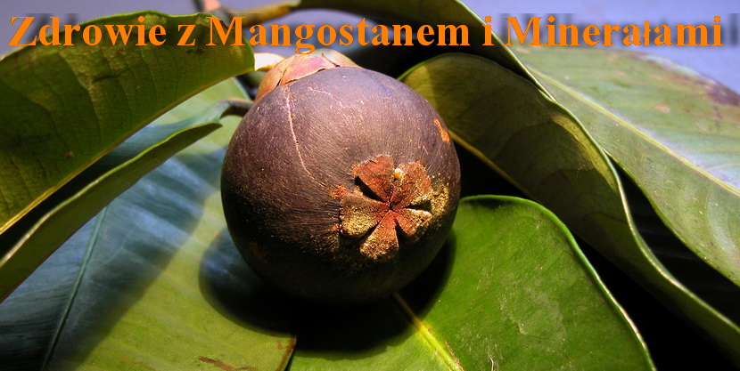 <center>Zdrowie z mangostanem i minerałami</center>
