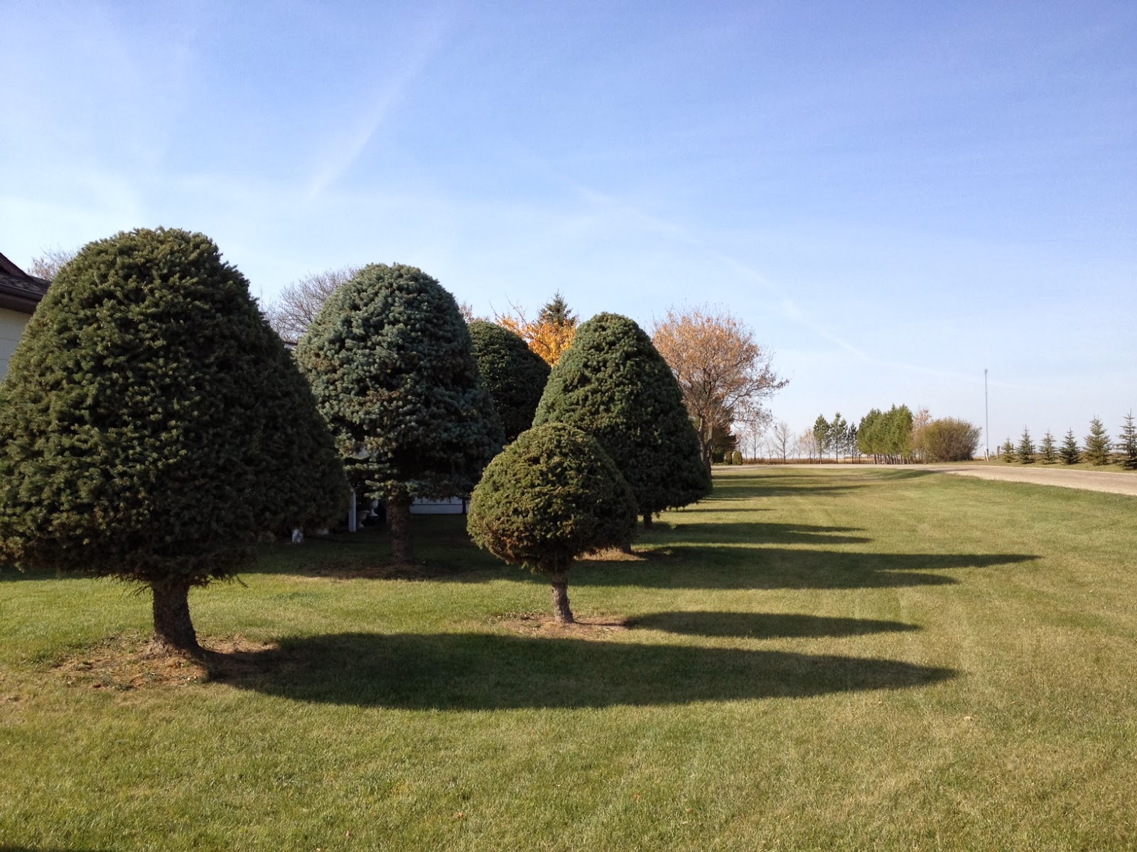 ramblingjackson: November 2013