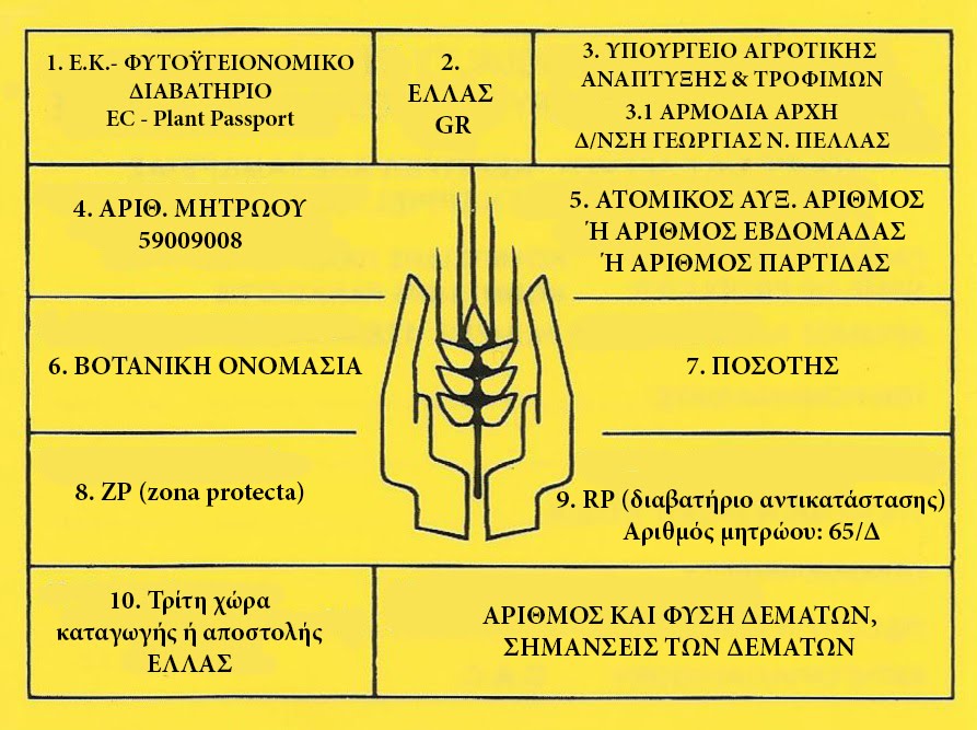 ΤΟ ΦΥΤΩΡΙΟ ΜΑΣ