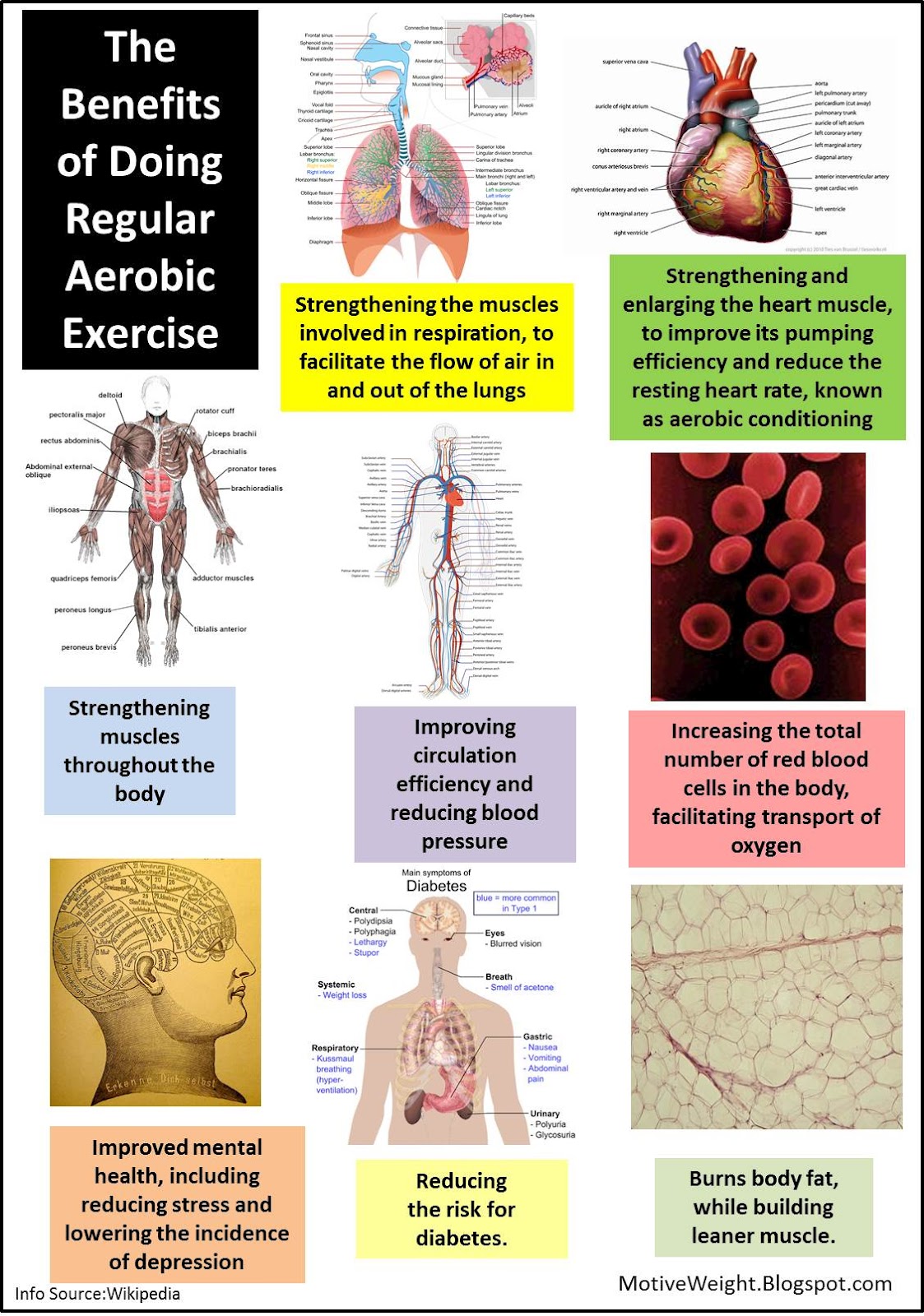 5 benefits of regular exercise | livestrong.com