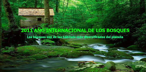 Año Internacional de los Bosques