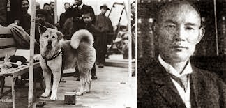 hachiko real pictures