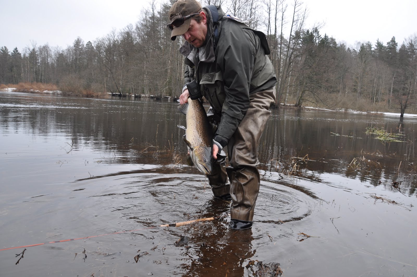 dejting för ensamstående föräldrar online